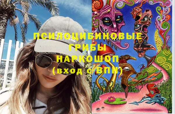 гидра Саяногорск