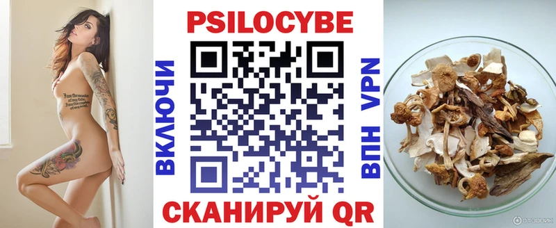 mega вход Далматово Псилоцибиновые грибы GOLDEN TEACHER